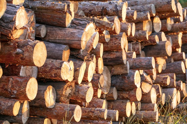 How are H beams made? What are they used for | PaamGroup